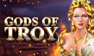 Hình ảnh game Gods Of Troy